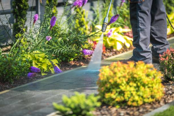Professional Pressure Washing in Schiller Park, IL
