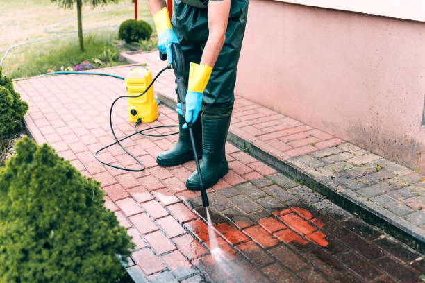 Best Solar Panel Cleaning  in Schler Park, IL